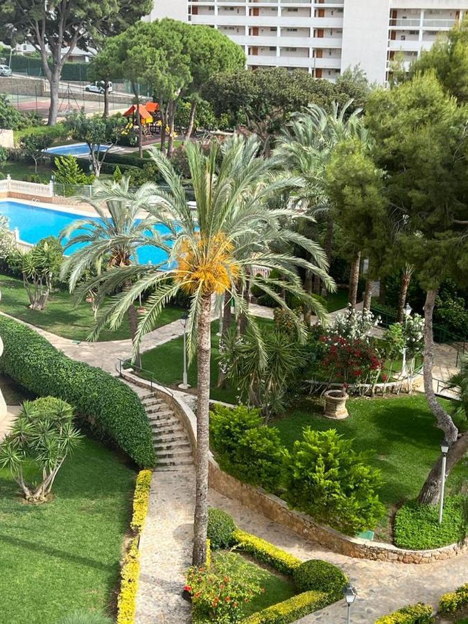 Appartement Playmon Park Levante *